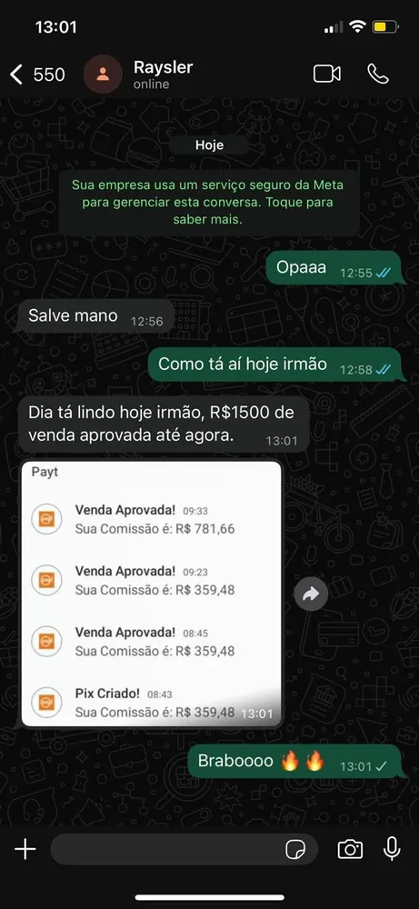 Print de resultado do aluno Raysler